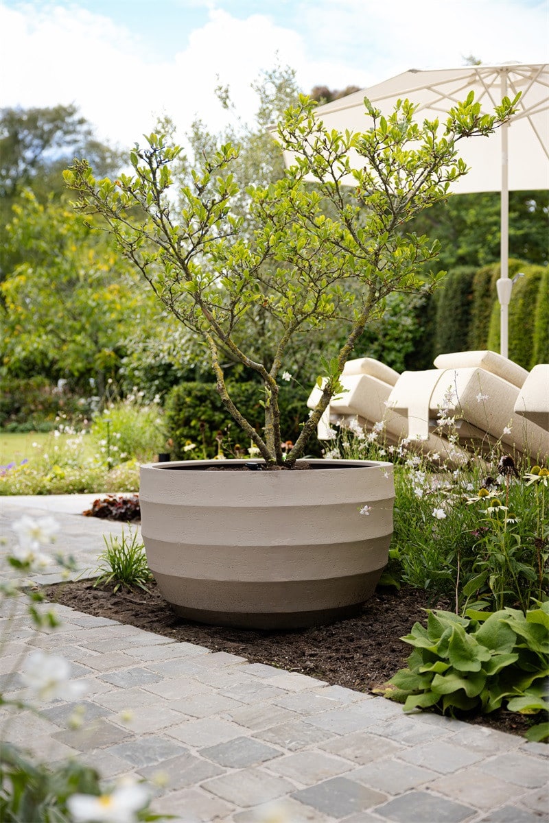Welke buitenpot past bij jouw tuin? Bekijk de Bordo New Egg Pot Low Sand 94x56 cm – Luxe Lage Buitenpot voor Olijfbomen.