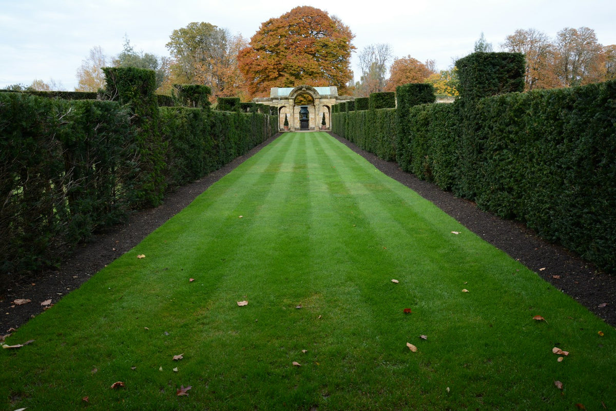Strakke groene hagen langs een lang grasveld