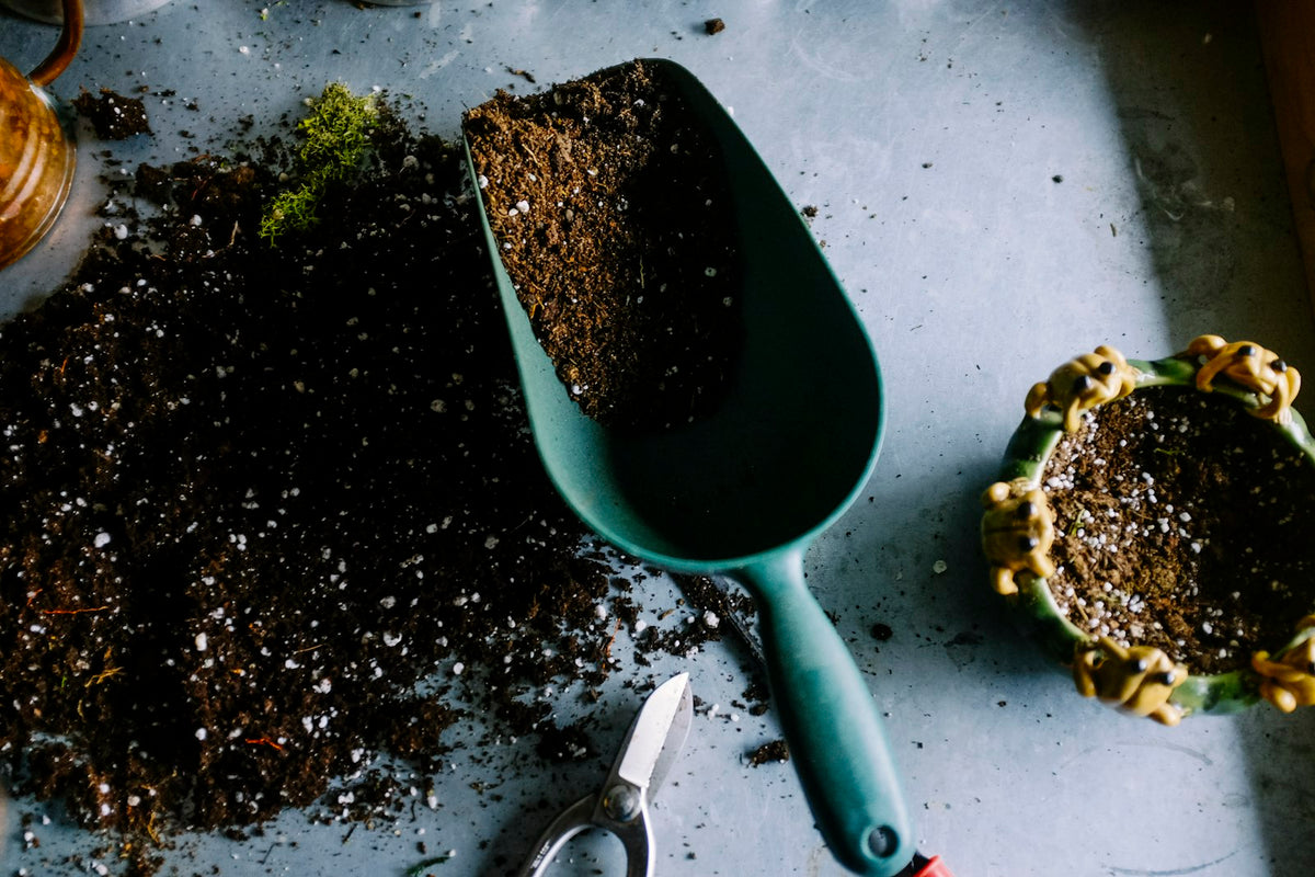 Schepje met potgrond naast een plantenpot