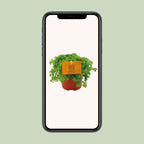Pilea Depressa – Ø11 cm, 15 cm hoog