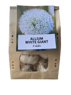 Iris 'White Giant' – 5 bulbes – art. 23327