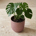 Mini pot relief roze D7