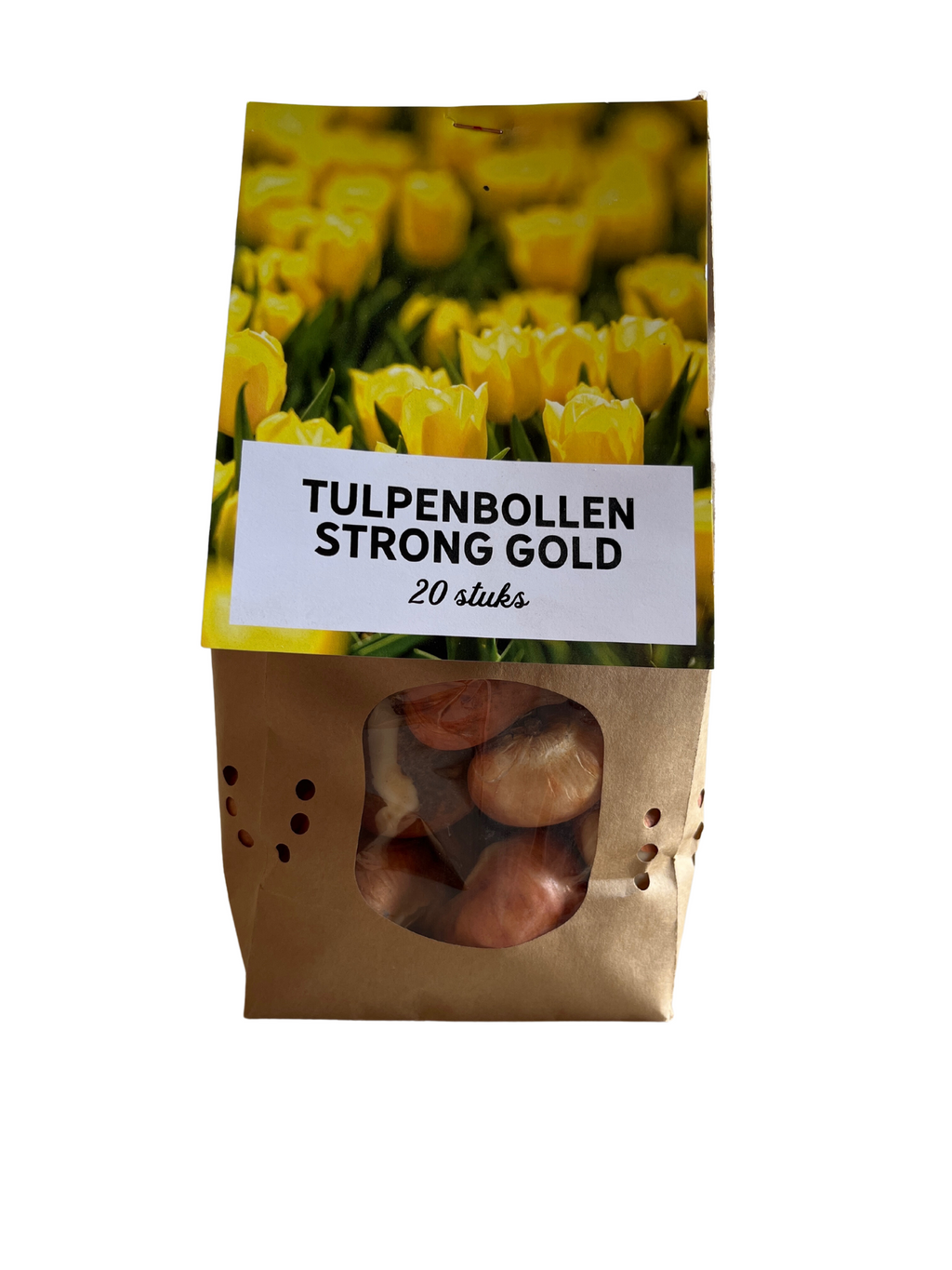 Tulpe 'Strong Gold' – 20 Blumenzwiebeln (Zwiebelgröße 11/12)