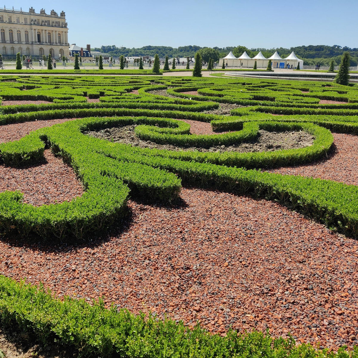 Buxus – 2 Pflanzen, Ø 26 cm, 30 cm hoch