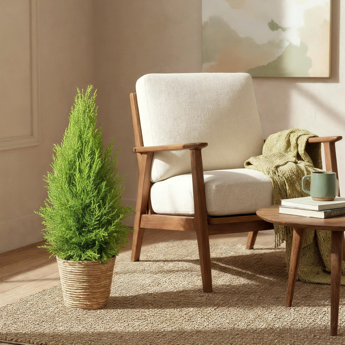 Cupressus Gold Crest Wilma (indendørs cypres) – Ø21 cm, 85–95 cm høj