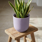 Pot Elho Jazz Round Lavande Lilas - D19