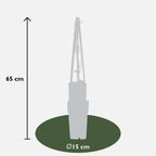 Clematis 'Jackmanii' (Waldrebe) – Ø15 cm, 65 cm hoch