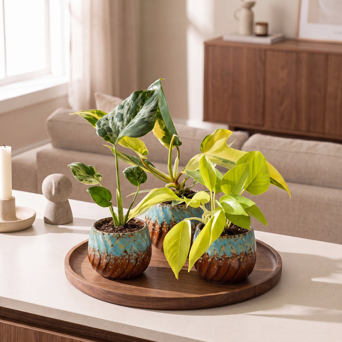 3× babyplanter Tropical Mix inkl. Copper Reef – Ø6 cm, 10–15 cm høje