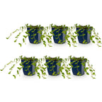 Vinca minor (Gewöhnlicher Immergrün) – blau – 6 Pflanzen, Ø 11 cm, 15–25 cm hoch