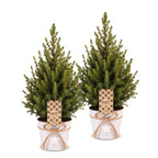 2× Picea glauca Conica (sapin de Noël) en pot zincé – Ø17 cm, 65 cm de haut