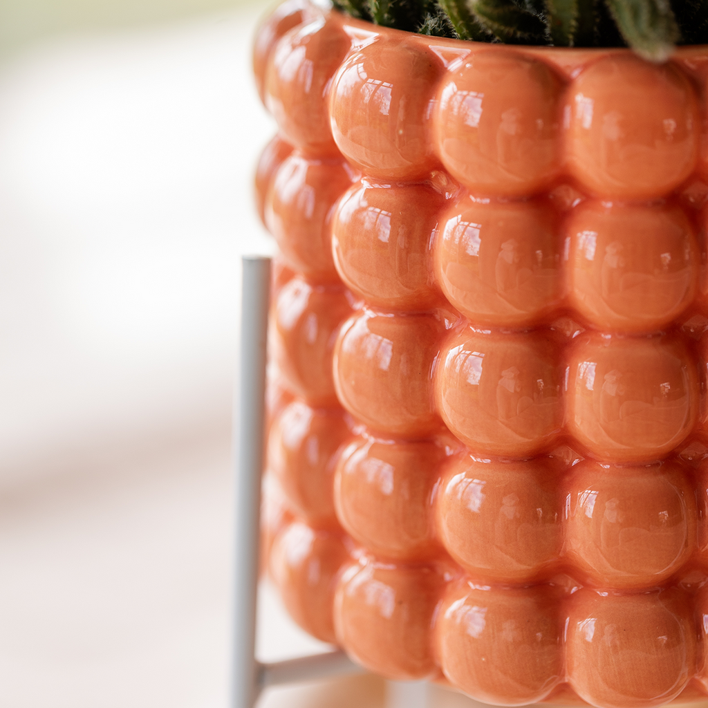 Phalaenopsis 'Grosetto' orange (orchid) in orange Poppy decorative pot – Ø9 cm – photo 3