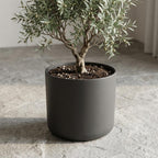 Elho B.for soft Antraciet - 35cm
