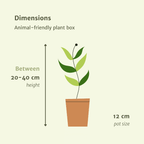 4× Plantemiks – Ø12 cm, 20–40 cm høj – dyrevenlig