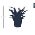 Varen – Ø9 cm