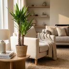 Yucca elephantipes med kurv i søgræs – Ø21 cm, 90 cm høj