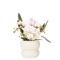 Phalaenopsis 'Nazaré' blanc (orchidée) dans pot décoratif Horizon blanc – Ø9 cm, 22 cm de haut