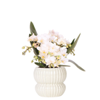 Phalaenopsis 'Nazaré' blanc (orchidée) dans pot décoratif Horizon blanc – Ø9 cm, 22 cm de haut
