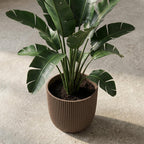 Capi Pot Nature Groove i varm taupe  - D25 cm