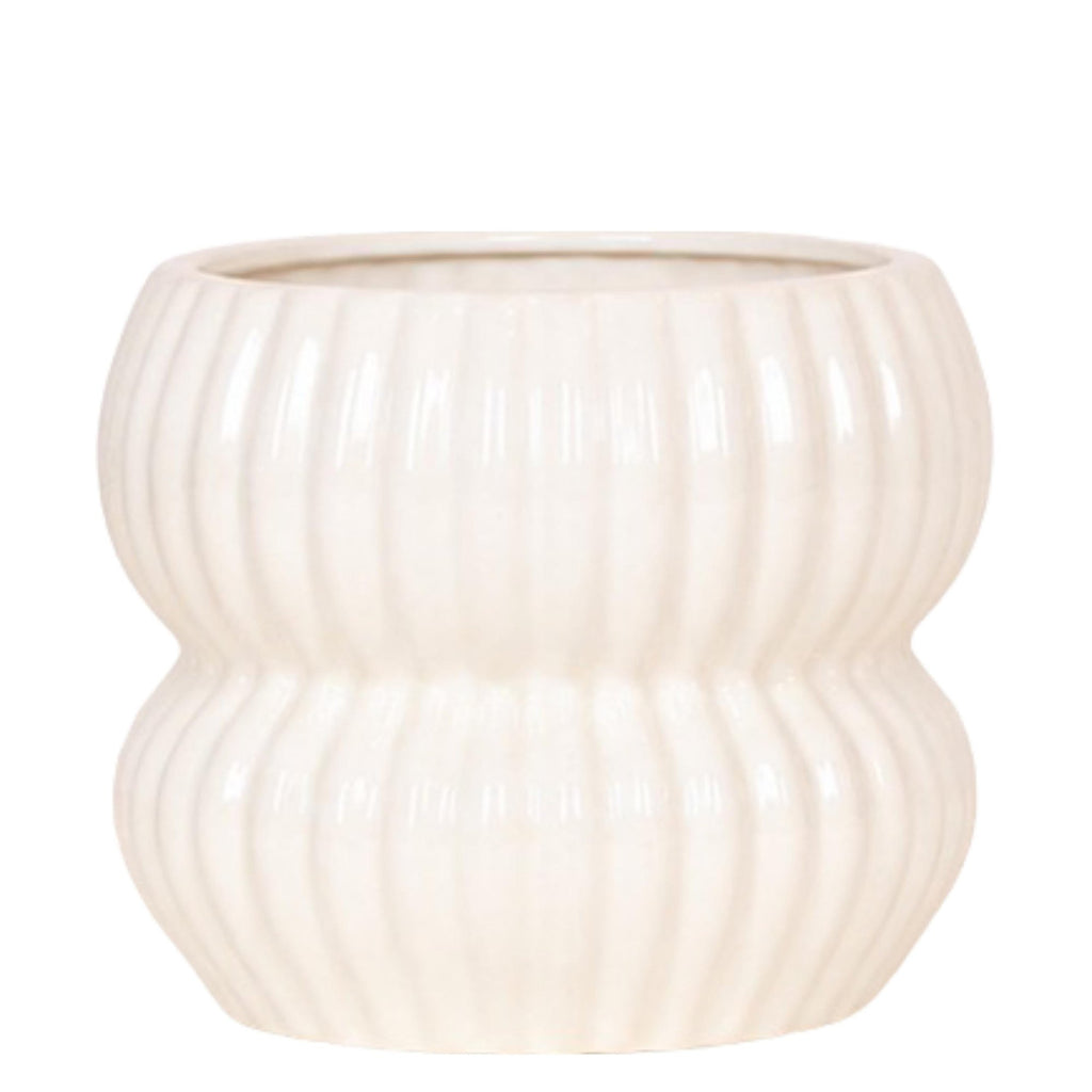 Phalaenopsis 'Nazaré' blanc (orchidée) dans pot décoratif Horizon blanc – Ø9 cm, 22 cm de haut