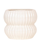 Phalaenopsis 'Nazaré' blanc (orchidée) dans pot décoratif Horizon blanc – Ø9 cm, 22 cm de haut