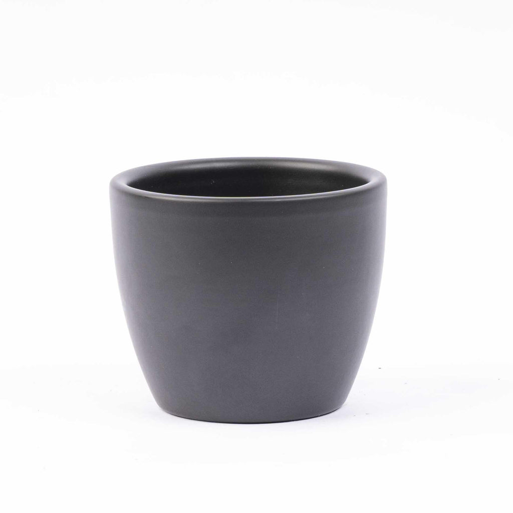 Mini-juletræer i boule-potte i antracit – Ø7 cm – art. 45491 – billede 2