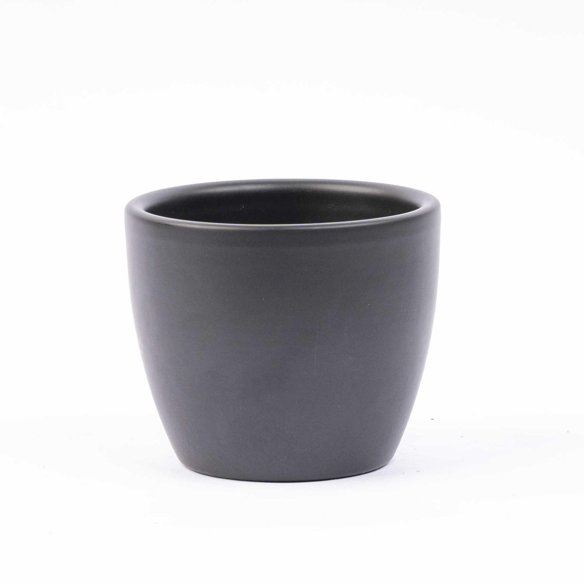 Mini-juletræer i boule-potte i antracit – Ø7 cm – art. 45491 – billede 2