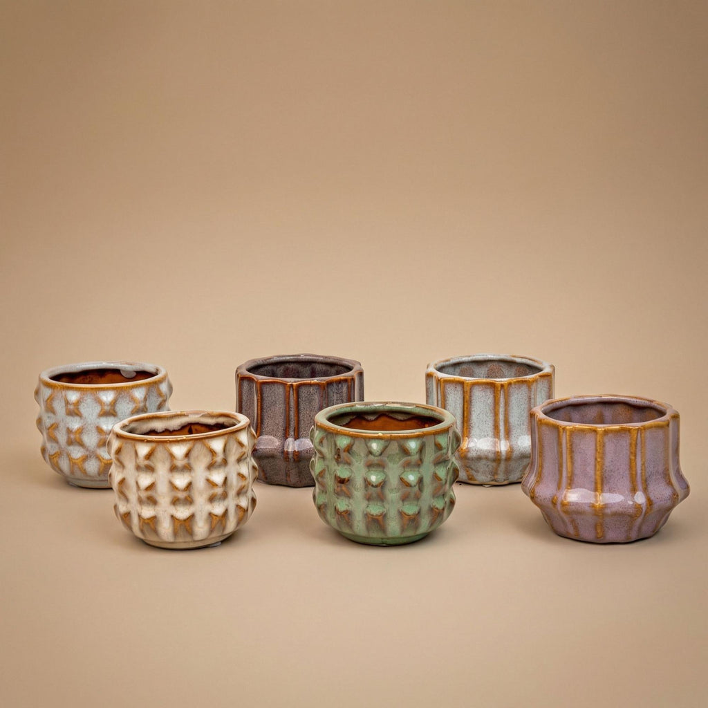 Lot de 6 cactus en mini-pots en céramique san – Ø6 cm, 8–12 cm de haut