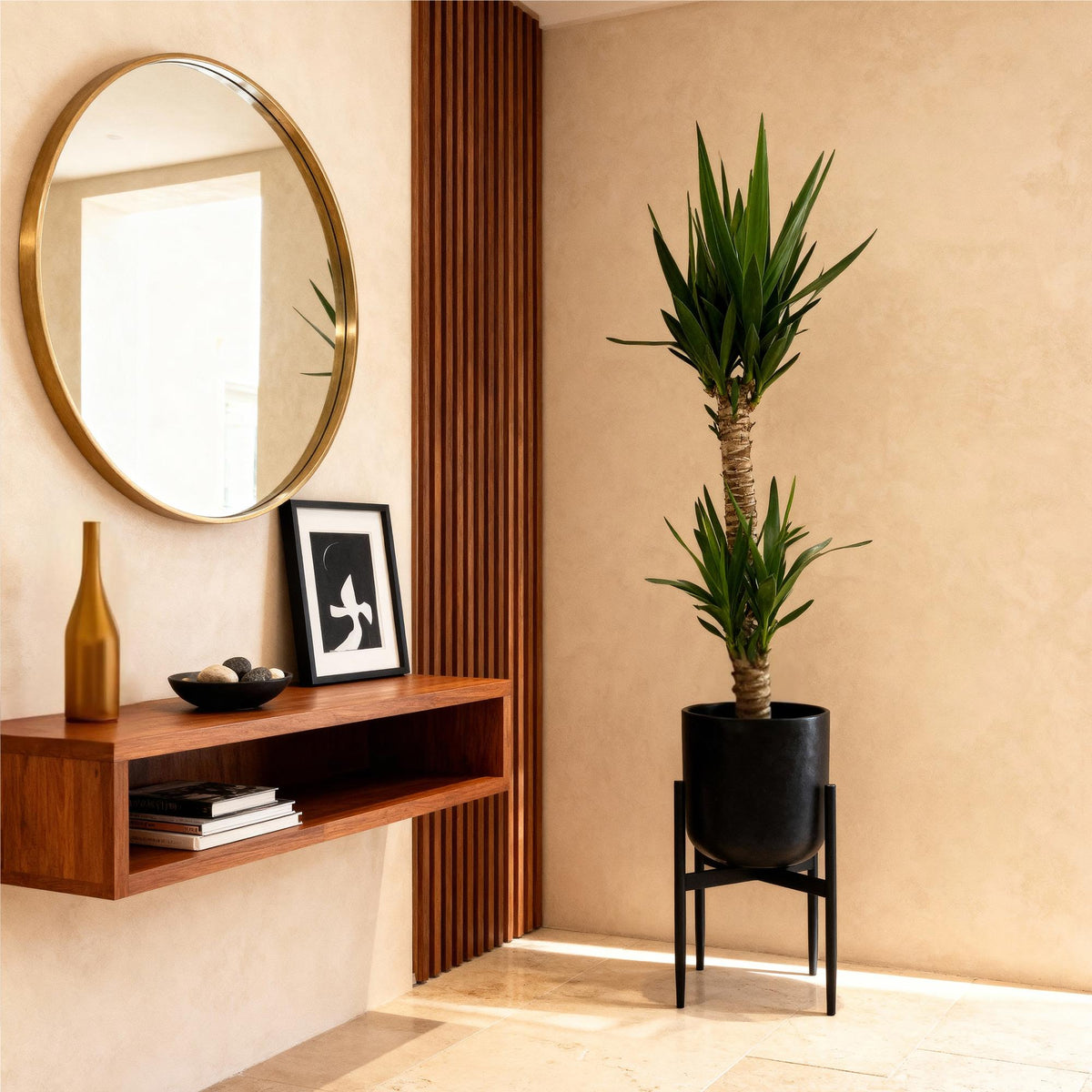Yucca elephantipes – Ø19 cm, 95 cm hoog – art. 54724