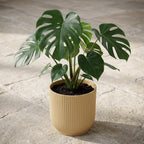 ELHO Vibes Fold 18cm geel