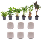 Mini-plantenset in Joey-sierpot grijs mat – Ø7 cm