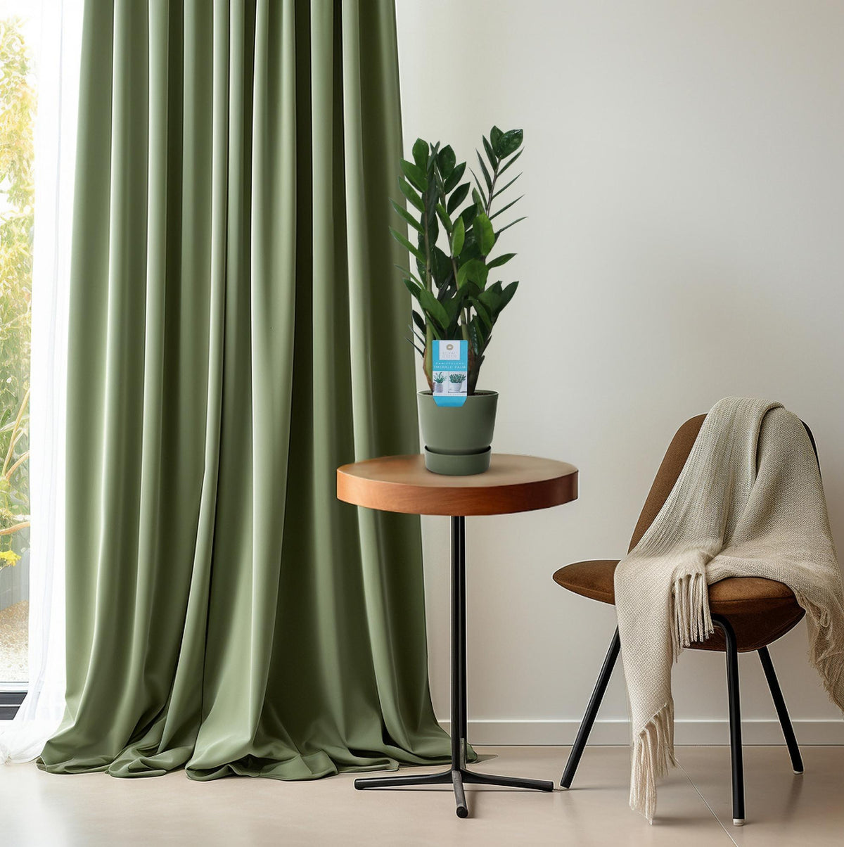 Zamioculcas zamiifolia (zz-plant) – Ø14 cm, 55 cm hoog – foto 6