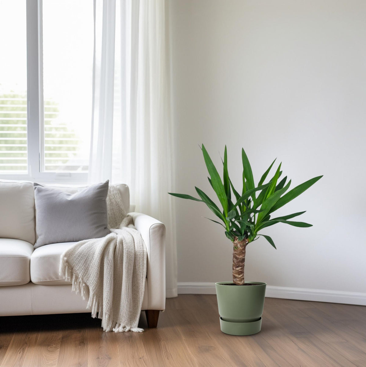 Yucca – Ø14 cm, 60 cm høj