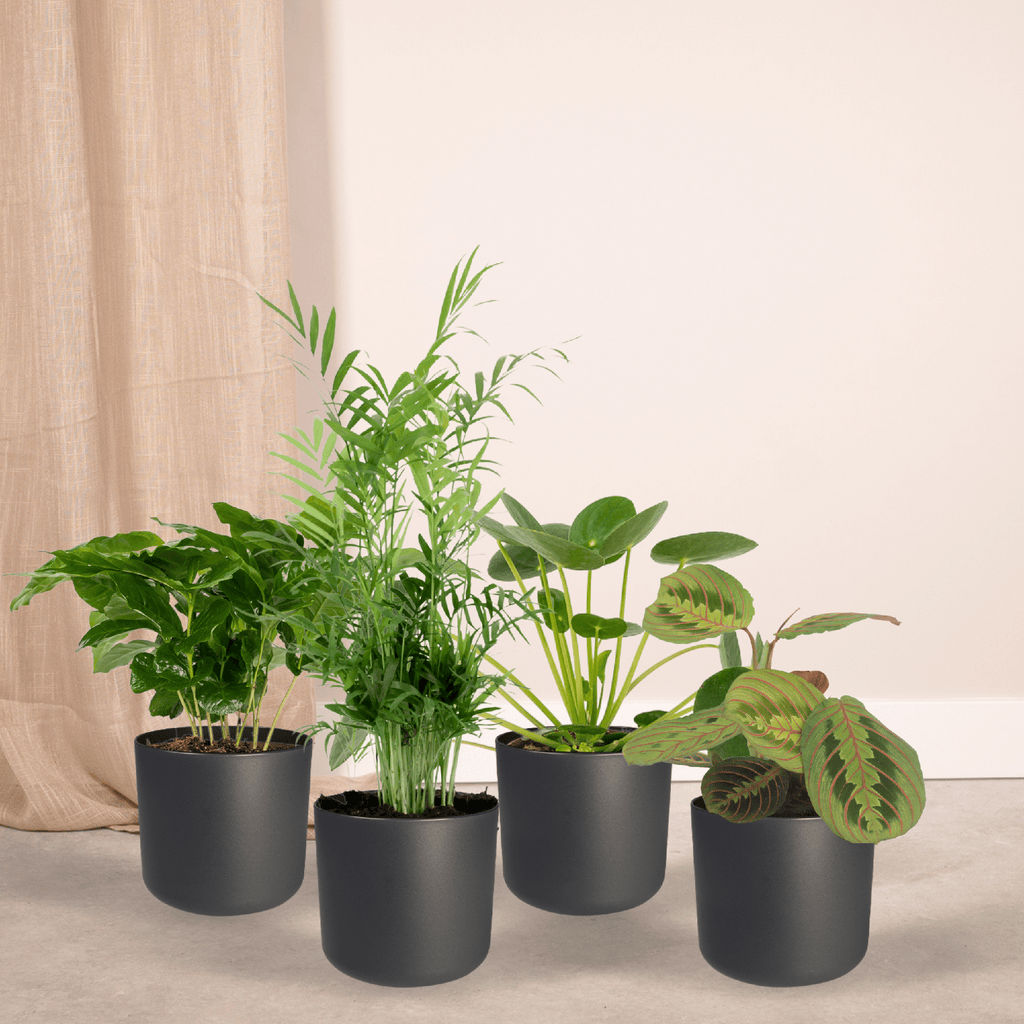 4× Plantemiks – Ø12 cm, 20–40 cm høj – dyrevenlig
