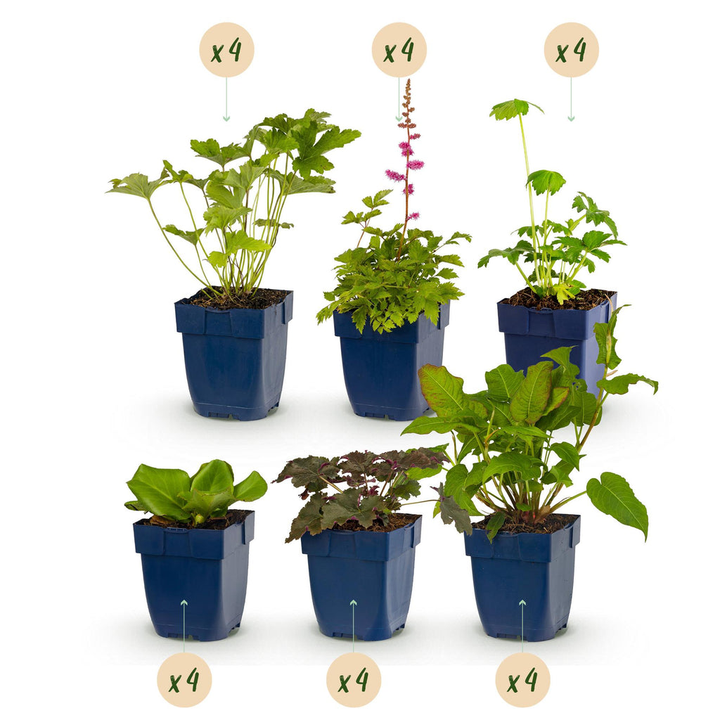 Beeteinfassung Schatten – Ø11 cm, 25 cm hoch – Bild 2