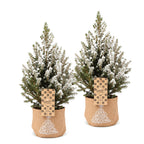 Picea glauca Conica (petit sapin de Noël) en toile de jute – Ø17 cm, 65 cm de haut – blanc