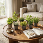 Kruidenplanten – 8 planten, Ø12 cm, 15 cm hoog