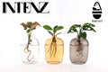 3× Plantenmix – Ø7 cm, 10 cm hoog