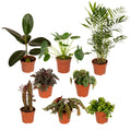 8× Plantemiks – Ø12 cm, 30 cm høj