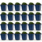 Campanula portenschlagiana (Pfirsichblatt-Glockenblume) – rosa – 24 Pflanzen, Ø 11 cm, 15–25 cm hoch