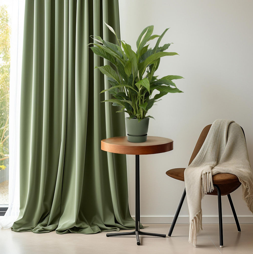 Spathiphyllum Torelli (lepelplant) – Ø17 cm, 65 cm hoog