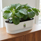 Elho Topf Greenville Easy Balkon D25cm - Weiß