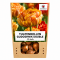 Tulipe 'Gudoshnik Double' – 20 bulbes (calibre 11/12)