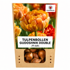 Tulipe 'Gudoshnik Double' – 20 bulbes (calibre 11/12)