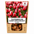 Tulpenmix 'Candy Apple Delight' – 20 Blumenzwiebeln (Zwiebelgröße 11/12)