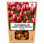 Tulpenmix 'Candy Apple Delight' – 20 Blumenzwiebeln (Zwiebelgröße 11/12)