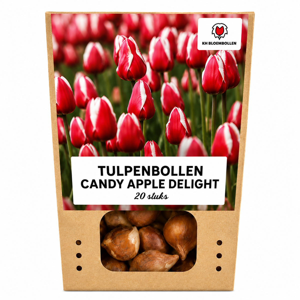 Tulpenmix 'Candy Apple Delight' – 20 Blumenzwiebeln (Zwiebelgröße 11/12)