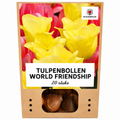 Tulpe 'World Friendship' – 20 Blumenzwiebeln (Zwiebelgröße 11/12)