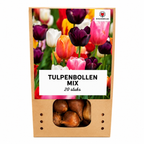 Tulpenmix – 200 bloembollen (bolmaat 11/12)