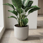 ELHO Vibes Fold 22cm wit