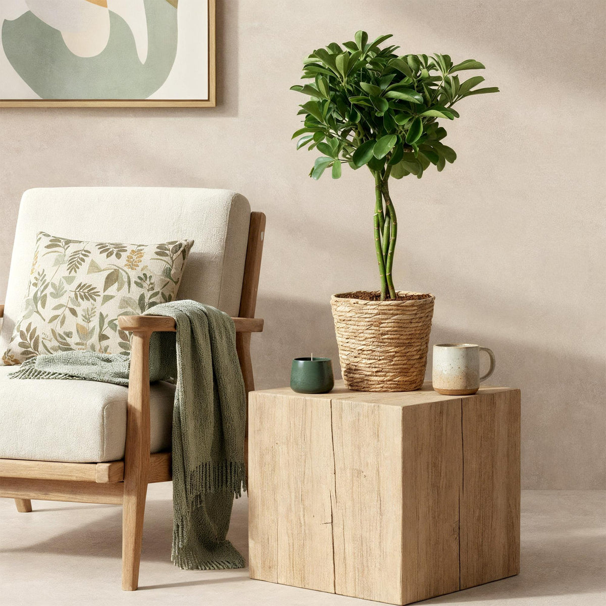 Schefflera Nora (vingersboom) – Ø21 cm, 70–82 cm hoog